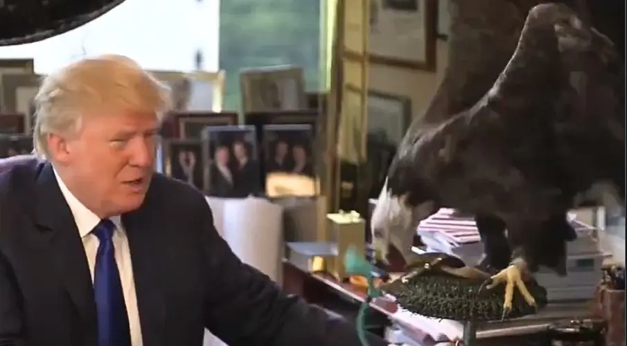 kaizennewsday - 2025-12-02T034416.253