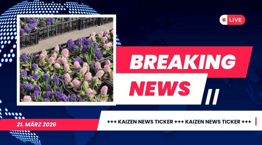 kaizenlive - 2026-03-21T024142.378